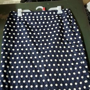 Ann Taylor Skirt